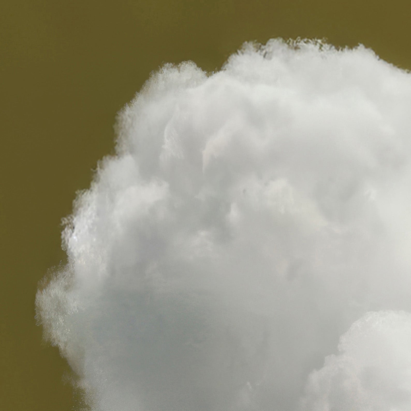 Extreme Close Up Detail Of Heart Cloud · Olive Green