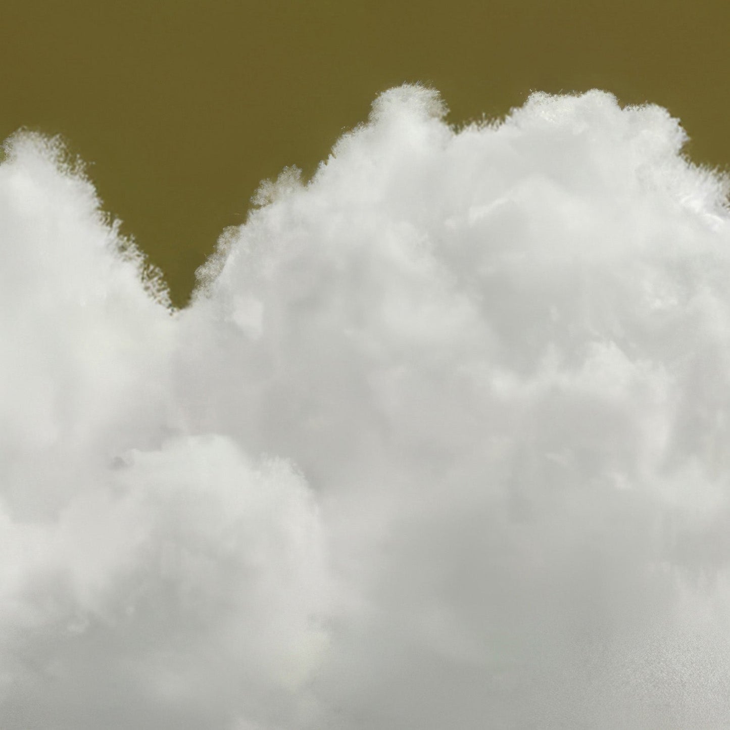 High Resolution Art Texture Of Heart Cloud · Olive Green