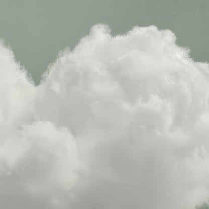High Resolution Art Texture Of Heart Cloud · Sage Green