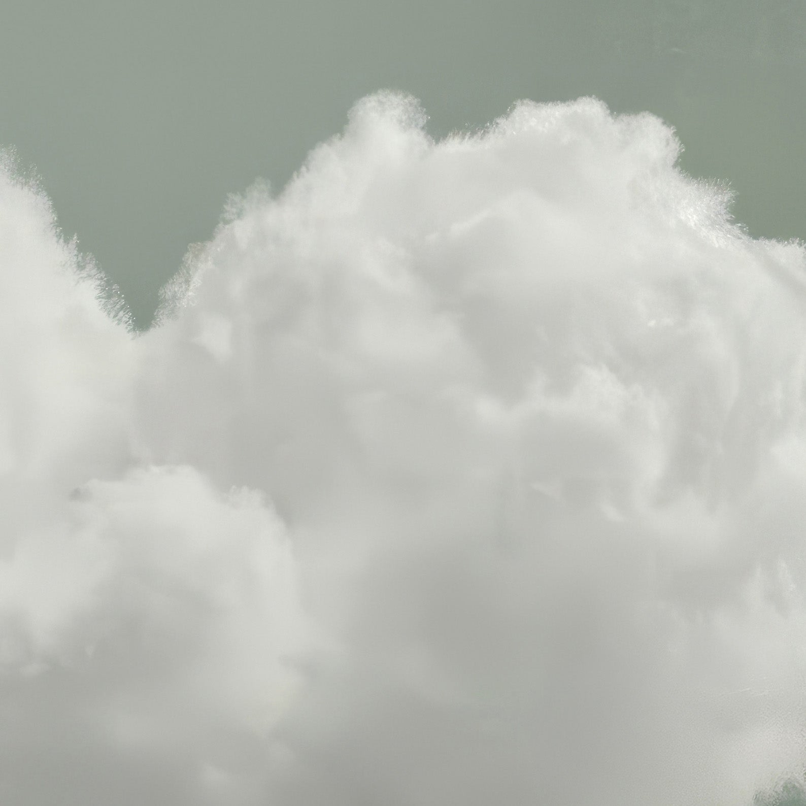 High Resolution Art Texture Of Heart Cloud · Sage Green