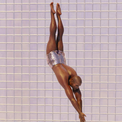 Extreme Close Up Detail Of Lavender High Dive
