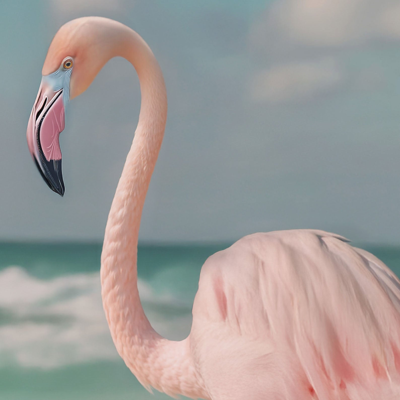 High Resolution Art Texture Of Lazy Beach Day