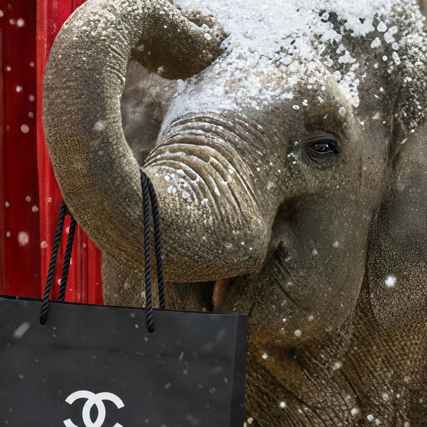 Extreme Close Up Detail Of London Stroll