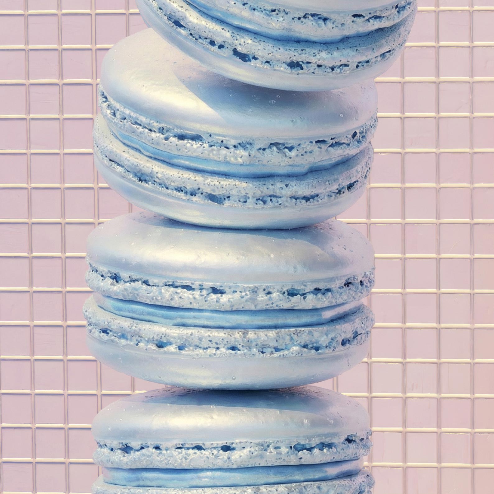 High Definition Print Quality Detail Of Macaron High Dive