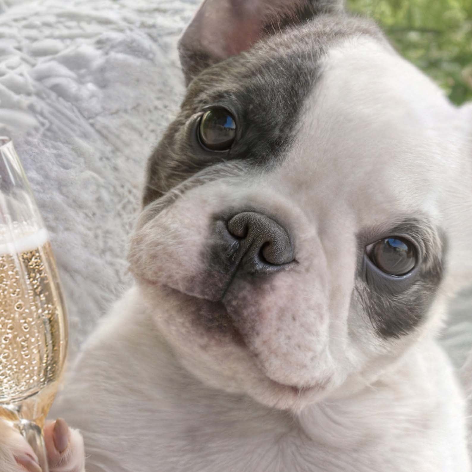 Extreme Close Up Detail Of Picnic Toast
