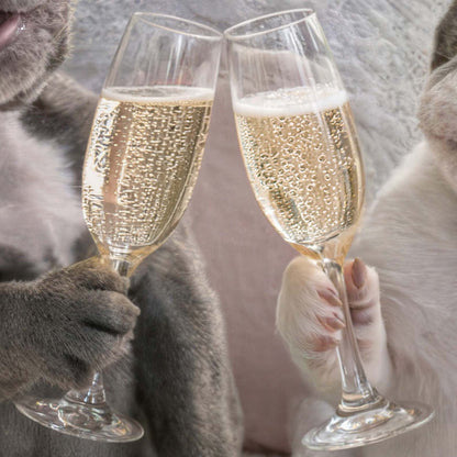 High Resolution Art Texture Of Picnic Toast