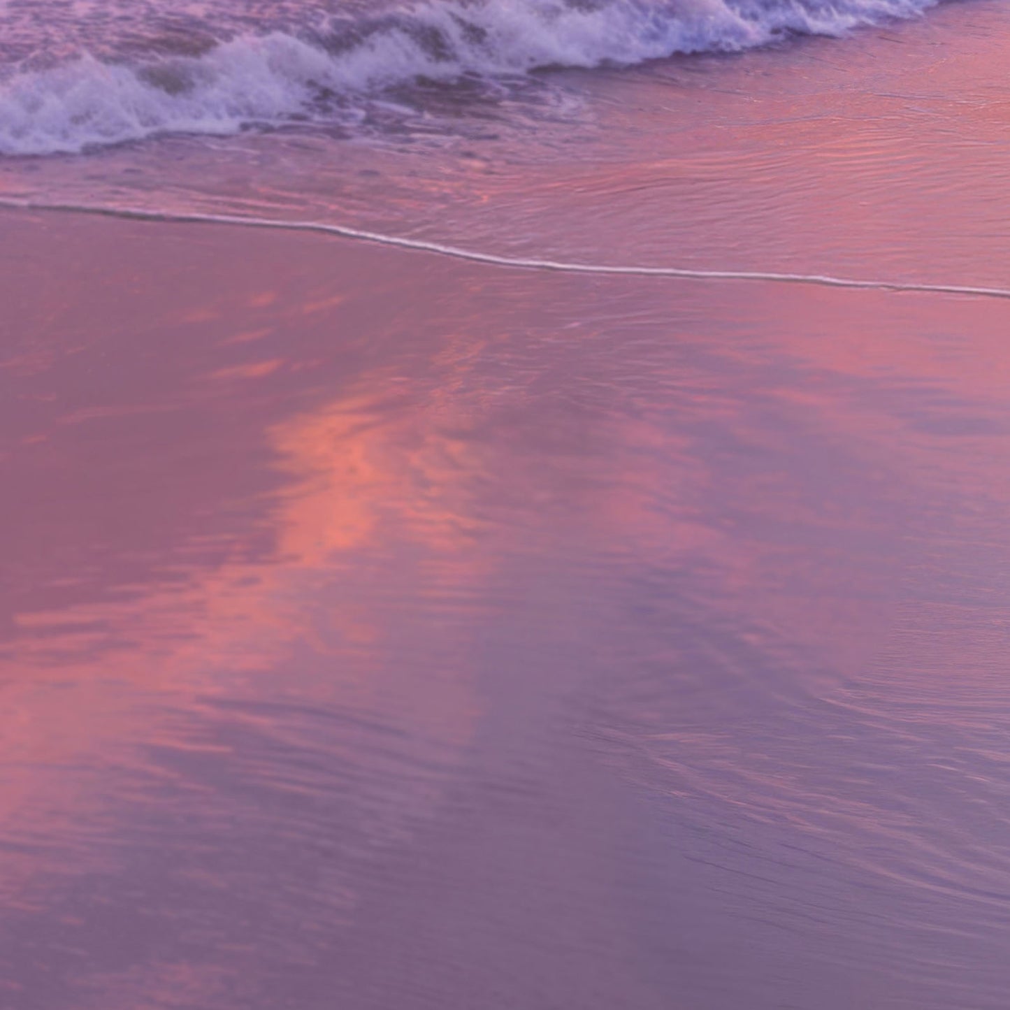 High Resolution Art Texture Of Pink Sunset Flamingo Beach