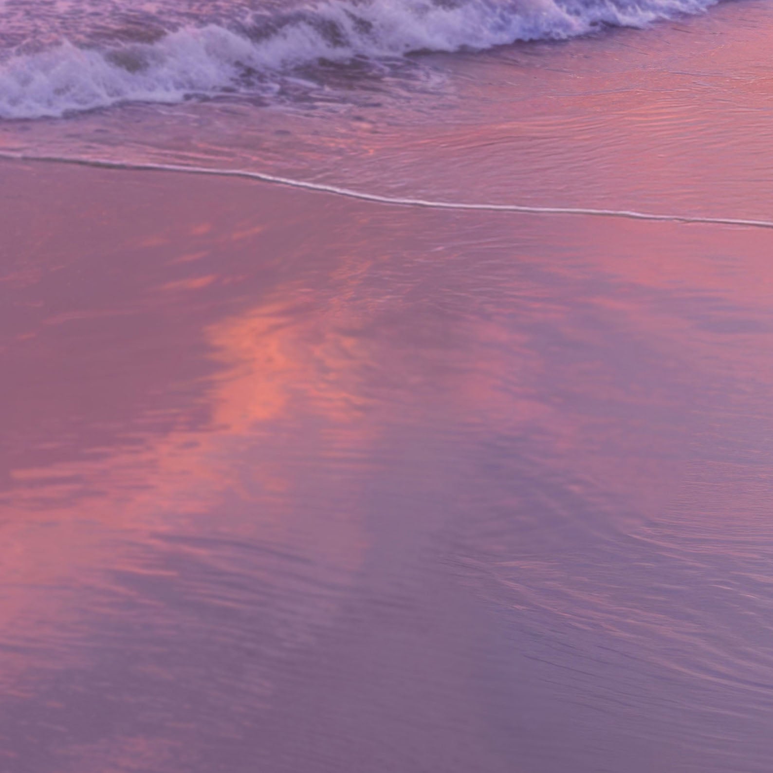 High Resolution Art Texture Of Pink Sunset Flamingo Beach