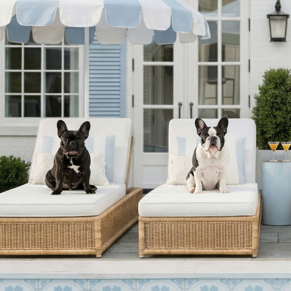 Extreme Close Up Detail Of Pool Day