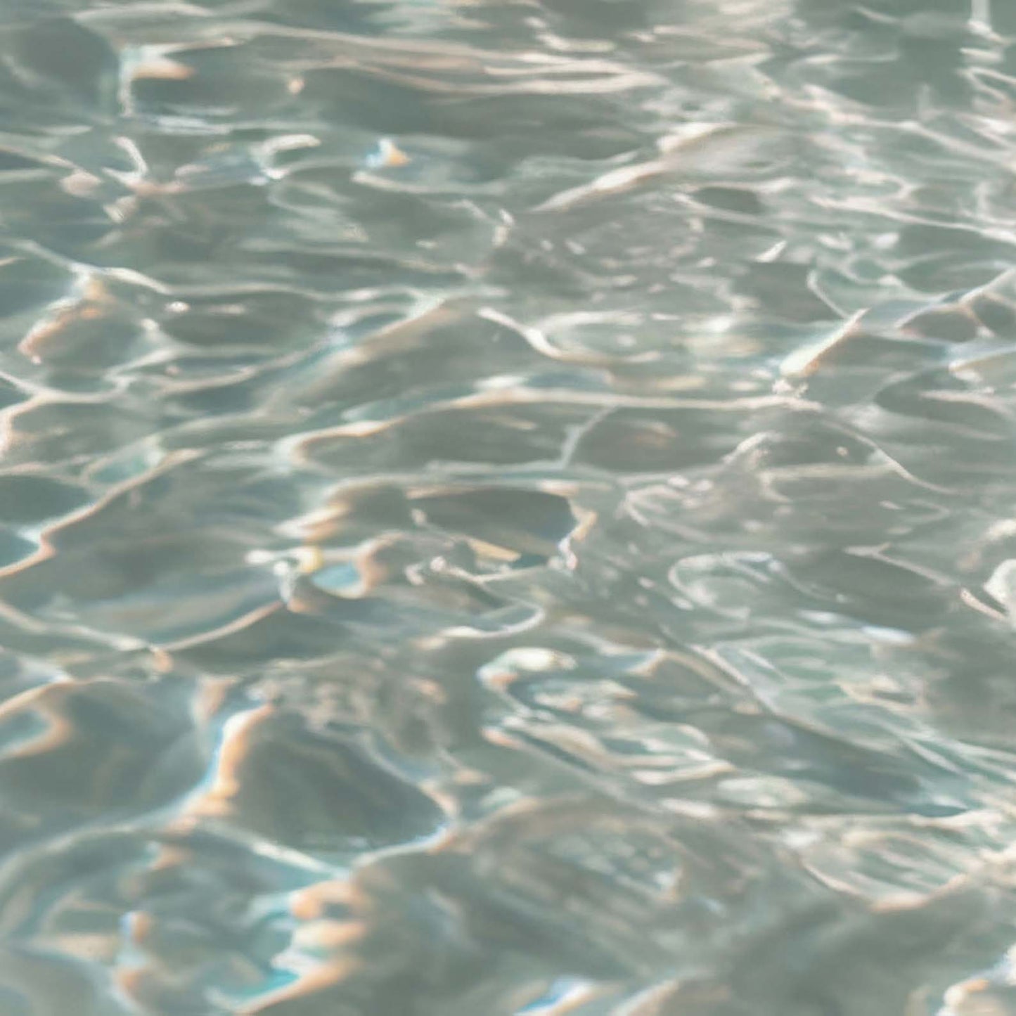 High Definition Print Quality Detail Of Poolside Paradise