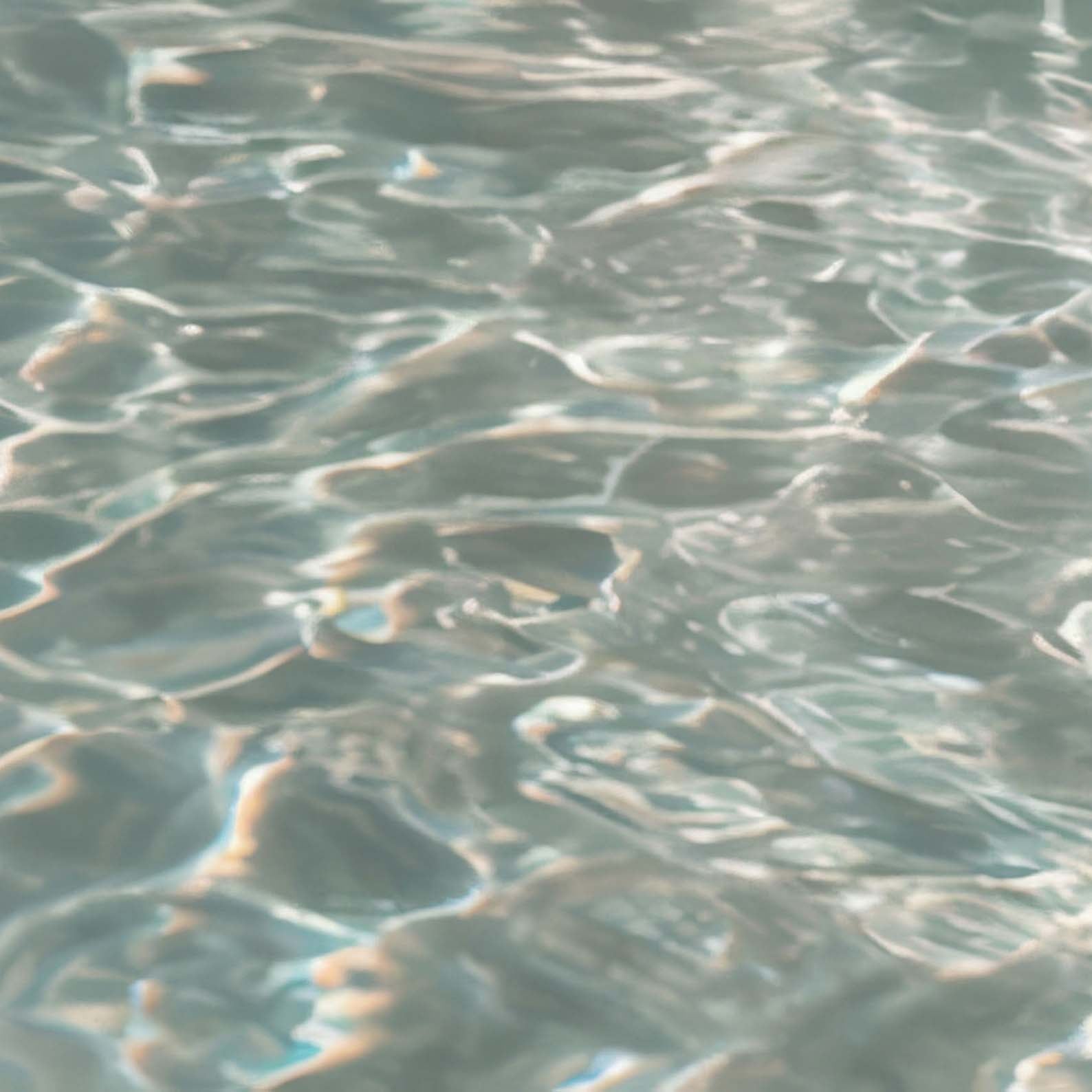 High Definition Print Quality Detail Of Poolside Paradise