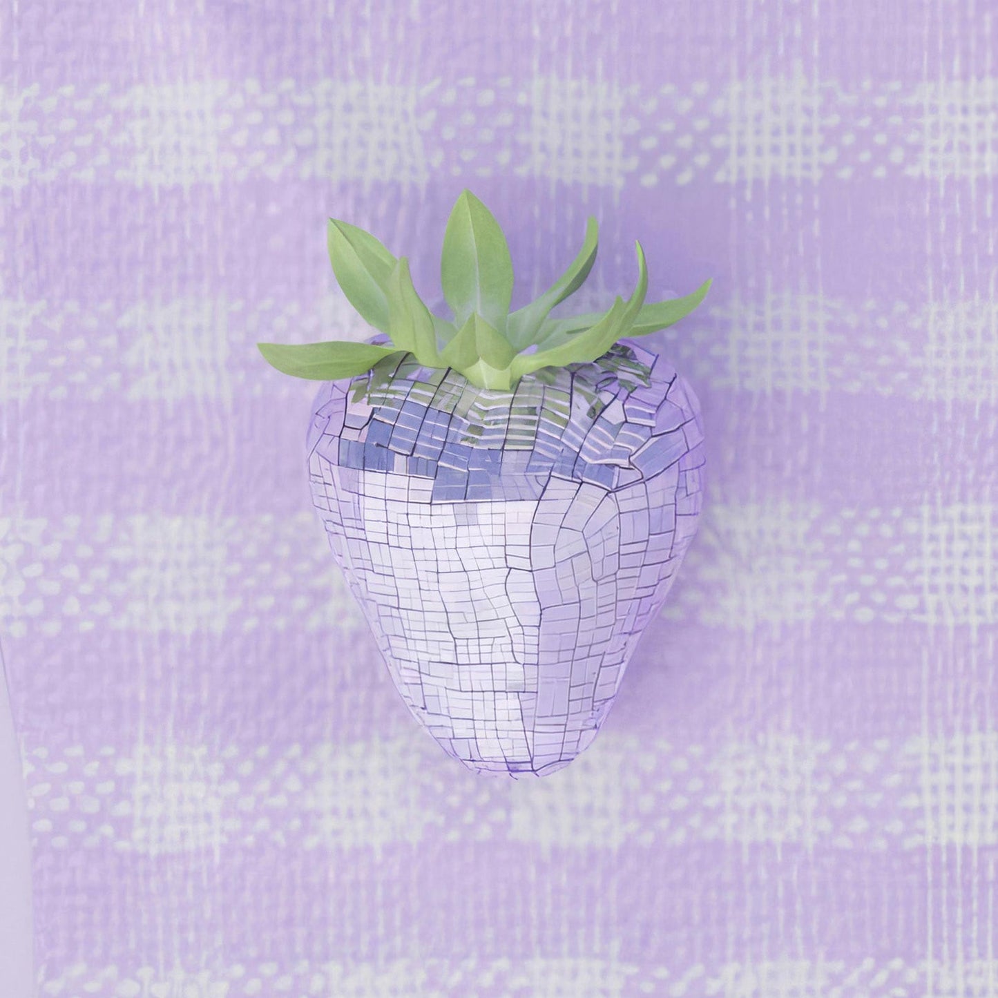 Extreme Close Up Detail Of Purple Disco Berry Grid