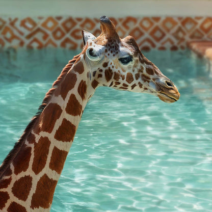 Extreme Close Up Detail Of Retro Poolside Giraffes I