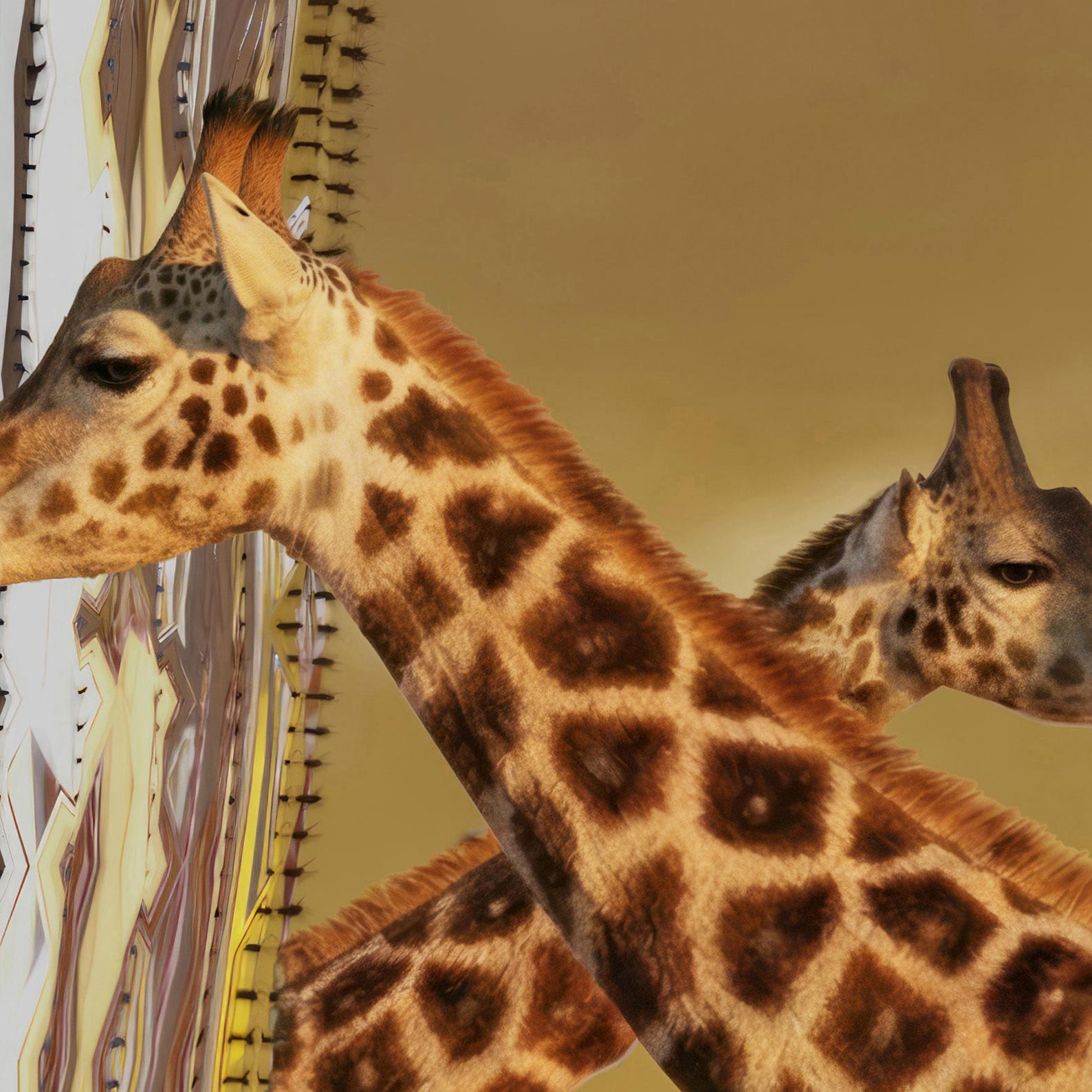 High Definition Print Quality Detail Of Safari Party