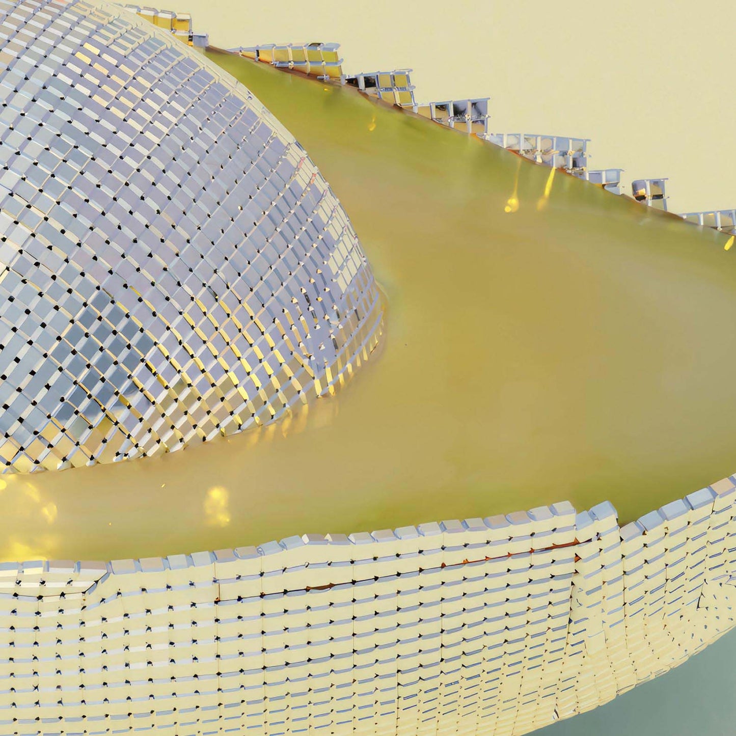 Extreme Close Up Detail Of Silver Avocado