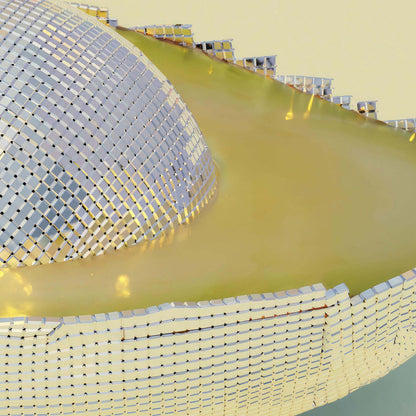 Extreme Close Up Detail Of Silver Avocado