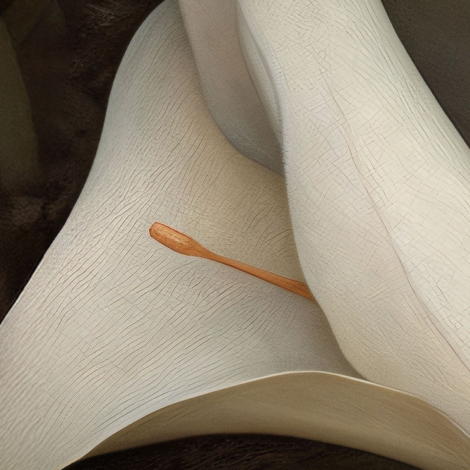 High Definition Print Quality Detail Of Sleeping Newborn In White Forest Blooms III, Vertical