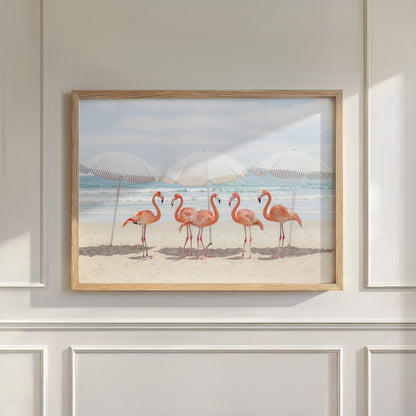 Sunny Beach Flamingos, Horizontal, Wall Art