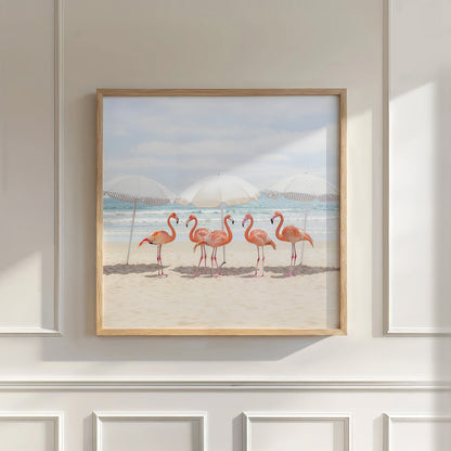 Sunny Beach Flamingos, Square, Wall Art