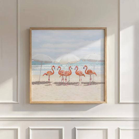Sunny Beach Flamingos, Square, Wall Art