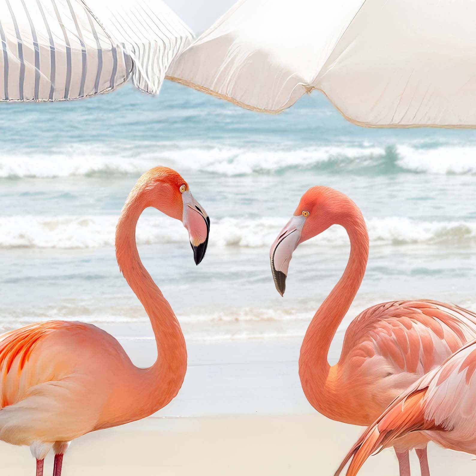 Extreme Close Up Detail Of Sunny Beach Flamingos
