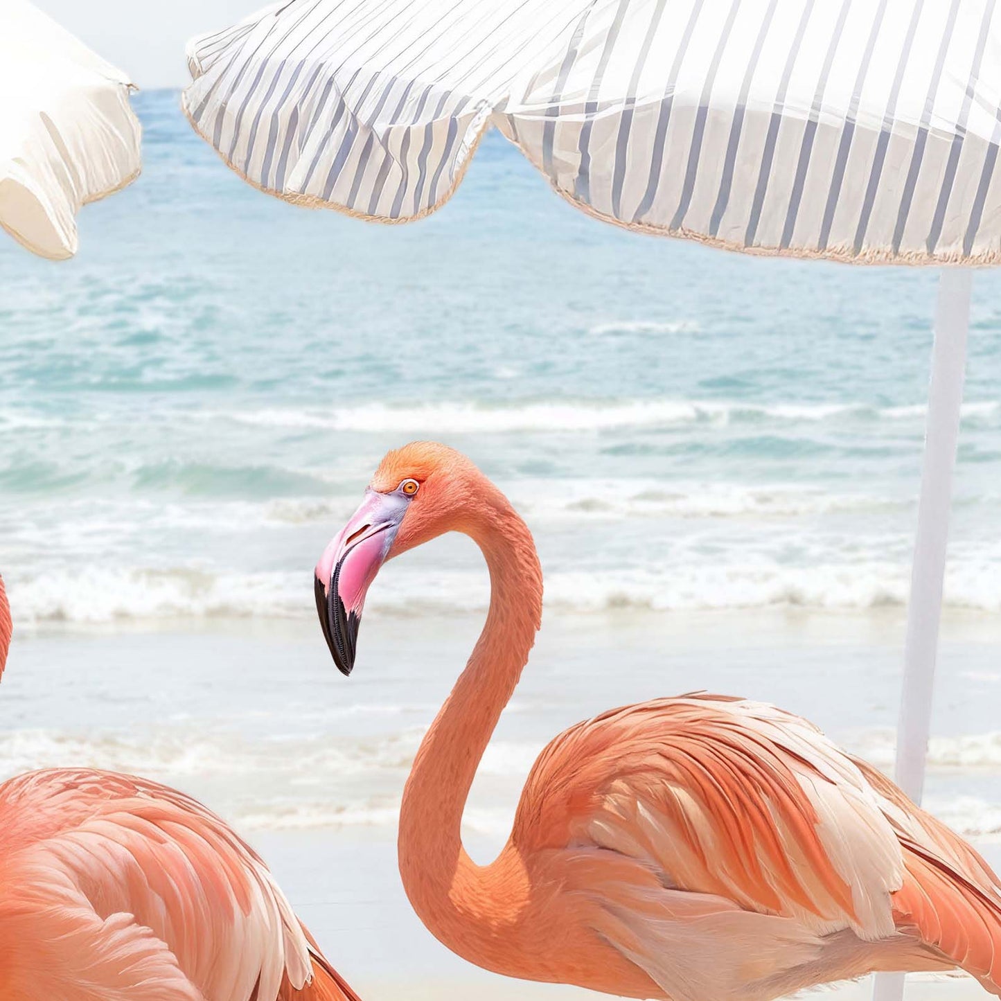 High Resolution Art Texture Of Sunny Beach Flamingos