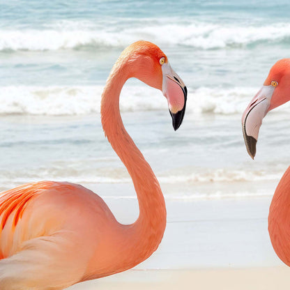 High Definition Print Quality Detail Of Sunny Beach Flamingos