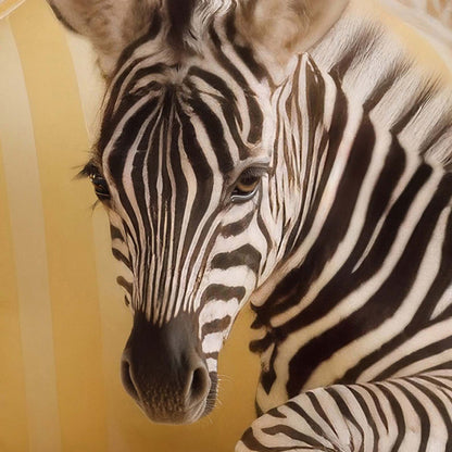 High Resolution Art Texture Of The Zebra Princess