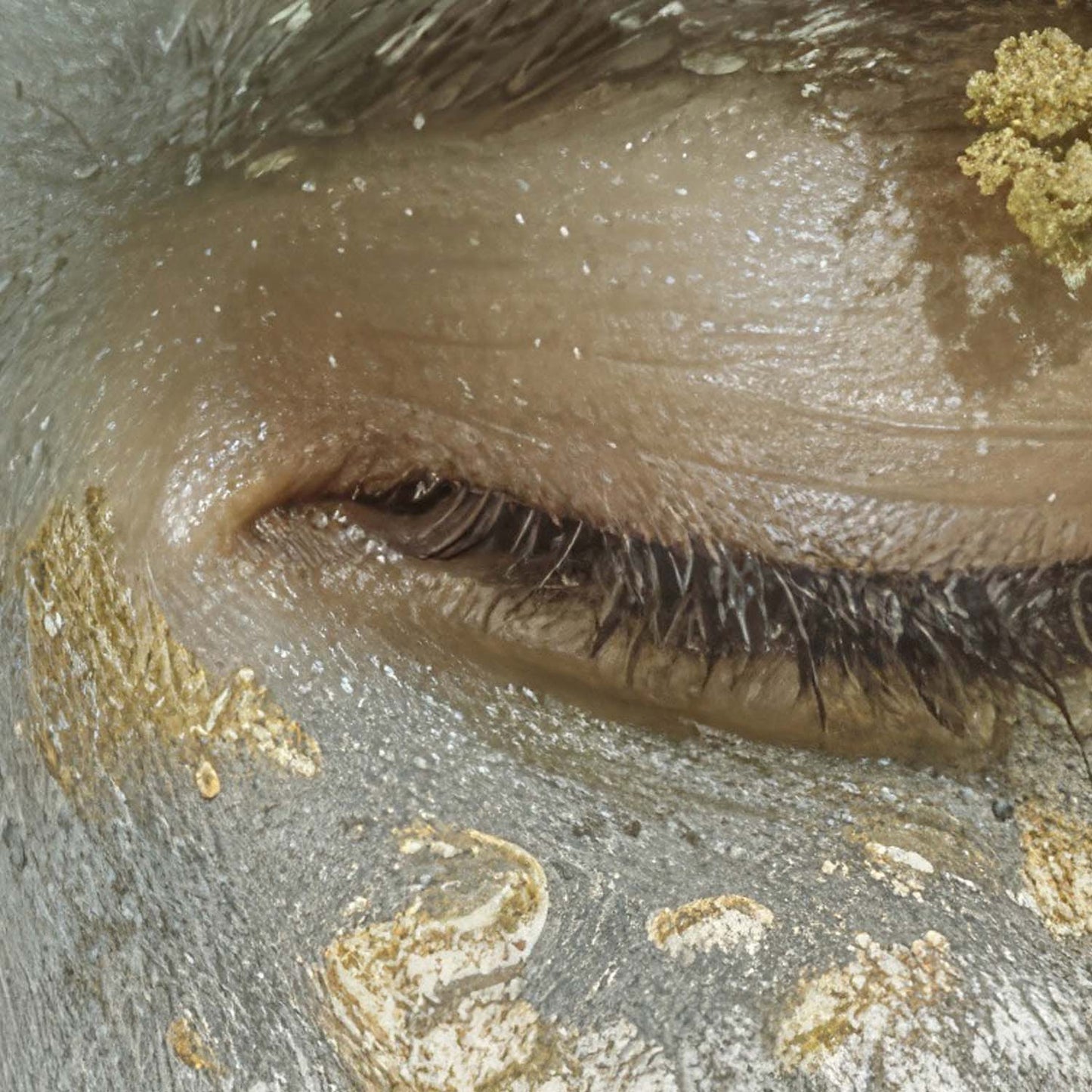 Extreme Close Up Detail Of Woman With Flowers I