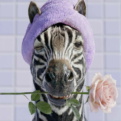 Extreme Close Up Detail Of Zebra In Bathtub I