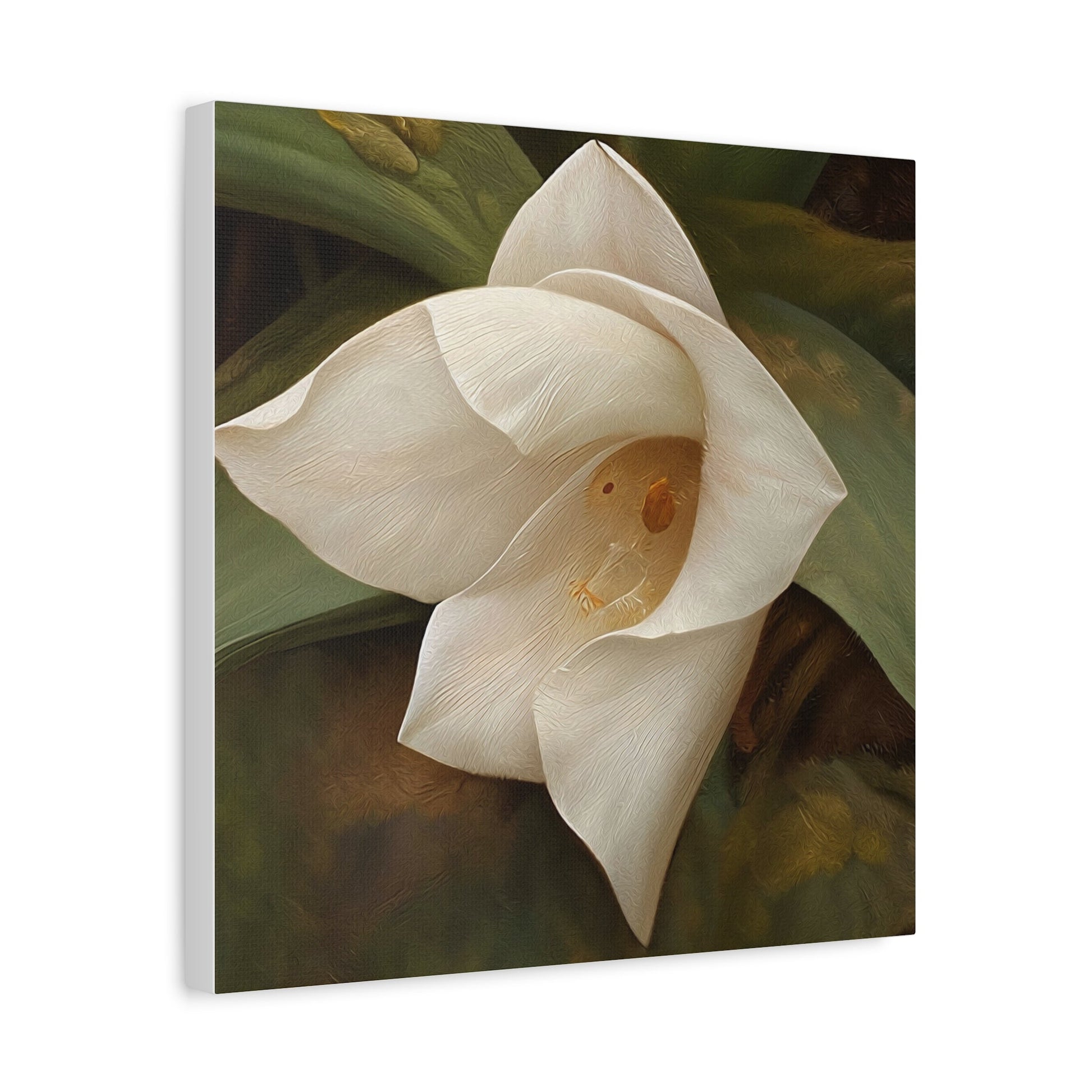 Elegant White Orchid Wall Art - Matte Canvas Decor - Mooon Gallery