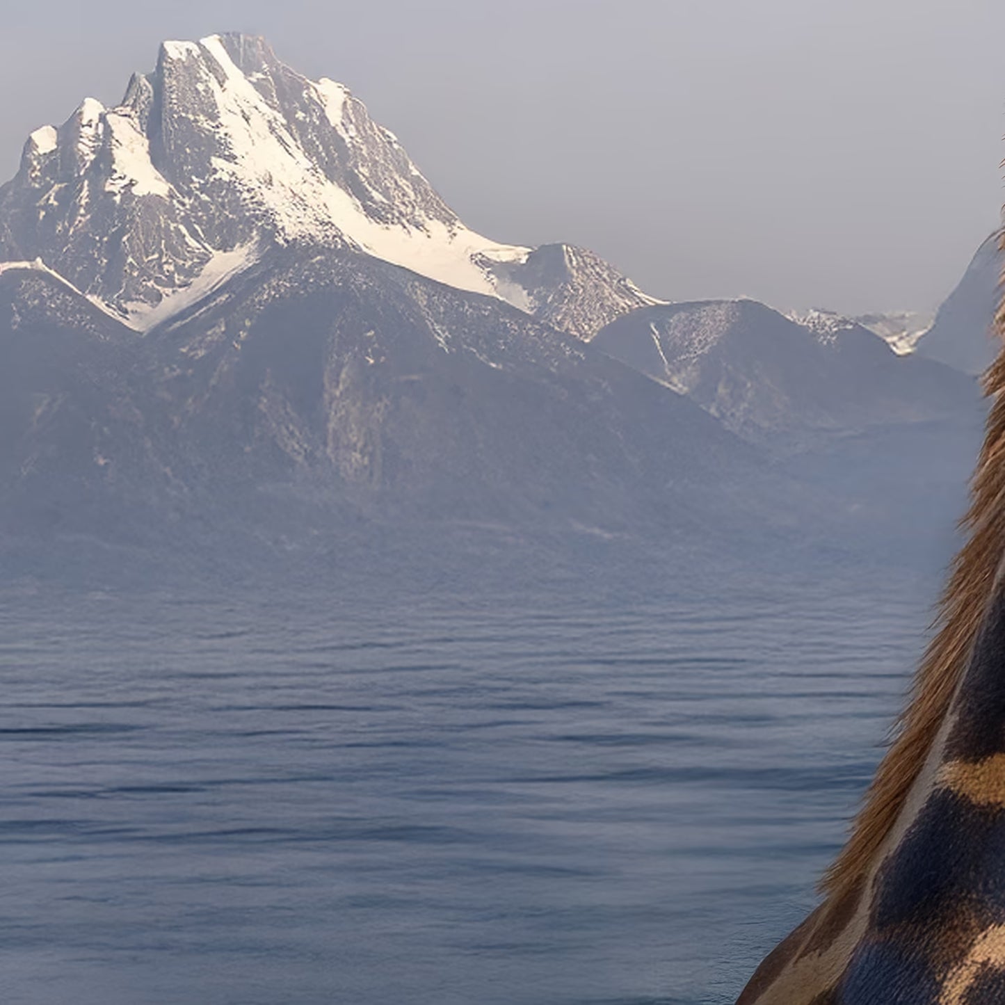 Giraffee in Lake