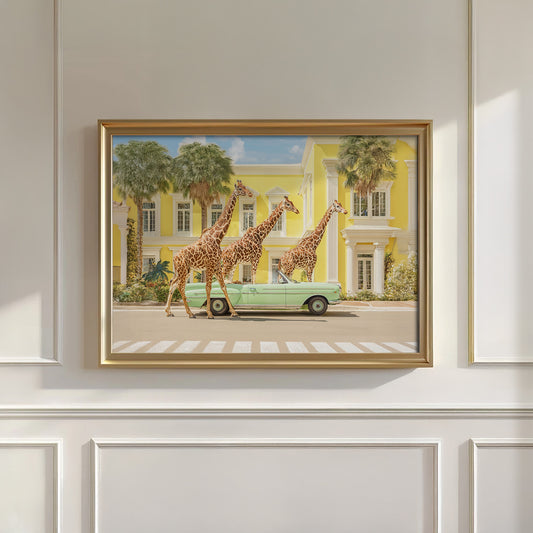 Tropical Stroll, Horizontal